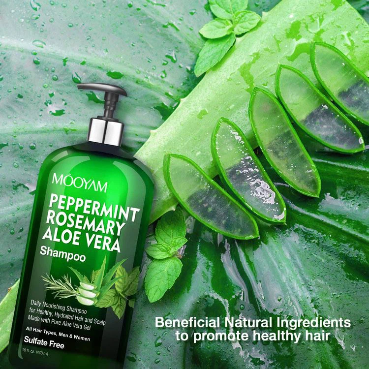 peppermint rosemary aloe vera shampoo